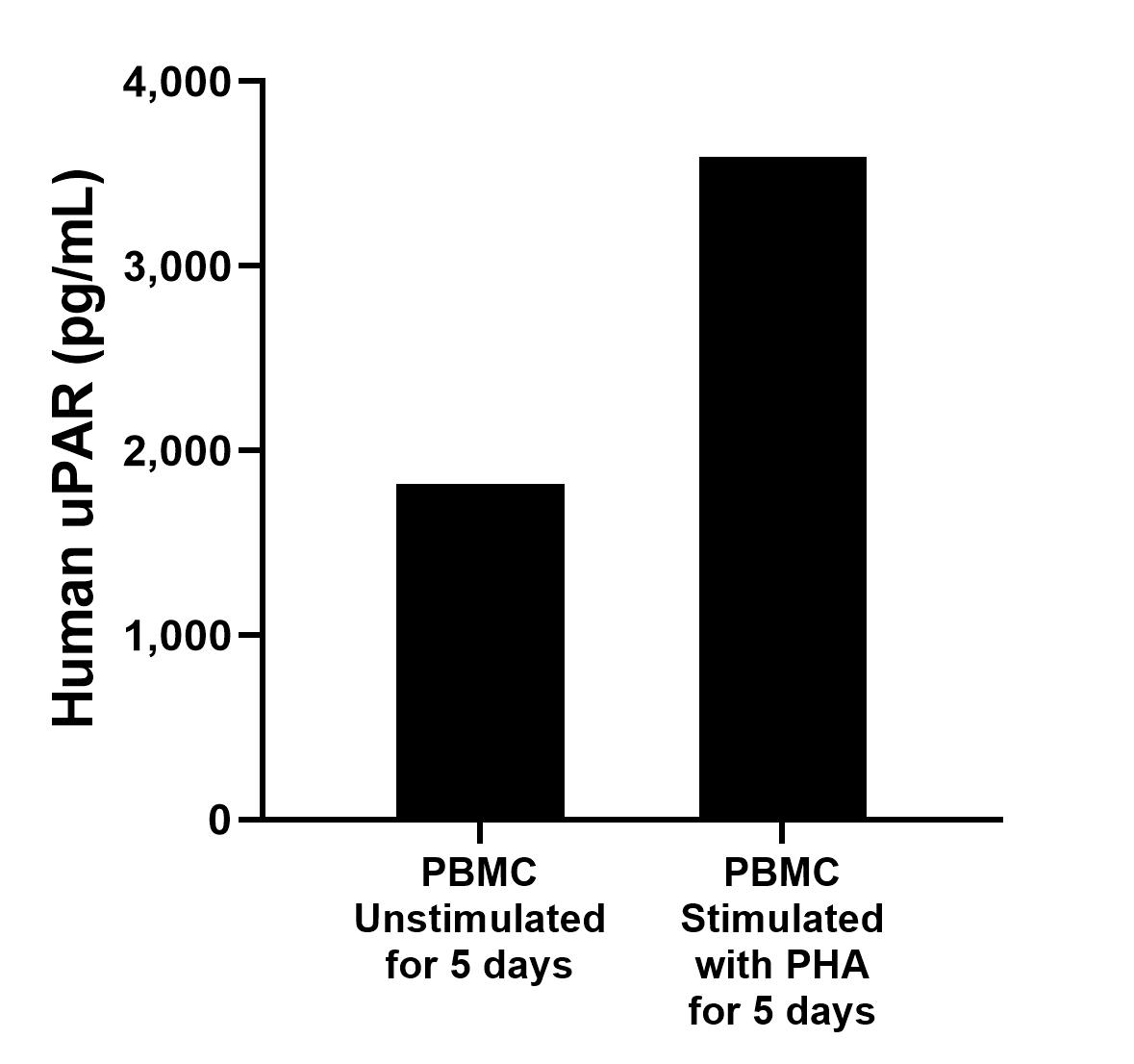 Human peripheral blood mononuclear cells (1 x 10^6 cells/mL) were cultured in RPMI-1640 supplemented with 10% fetal bovine serum, 100 U/mL penicillin, and 100 μg/mL streptomycin sulfate. The cells were unstimulated or stimulated with 10 μg/mL PHA. Aliquots of the cell culture supernates were removed on days 5 and assayed for levels of human uPAR.